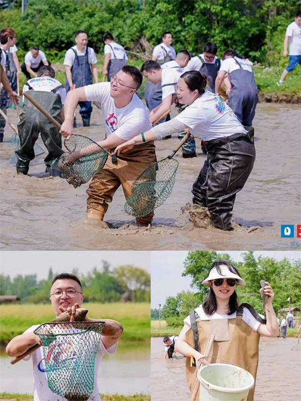 泥塘摸魚樂